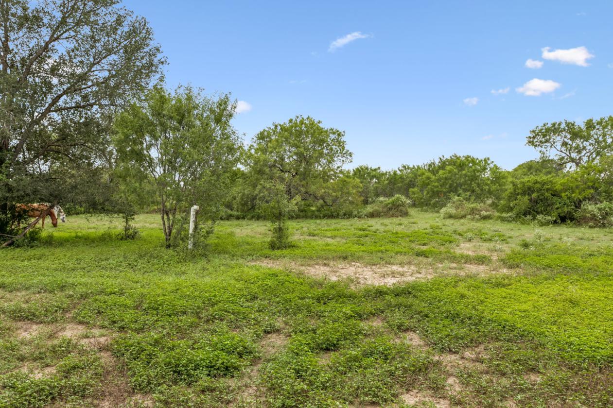 17.43 acres near Saint Hedwig - photo 10
