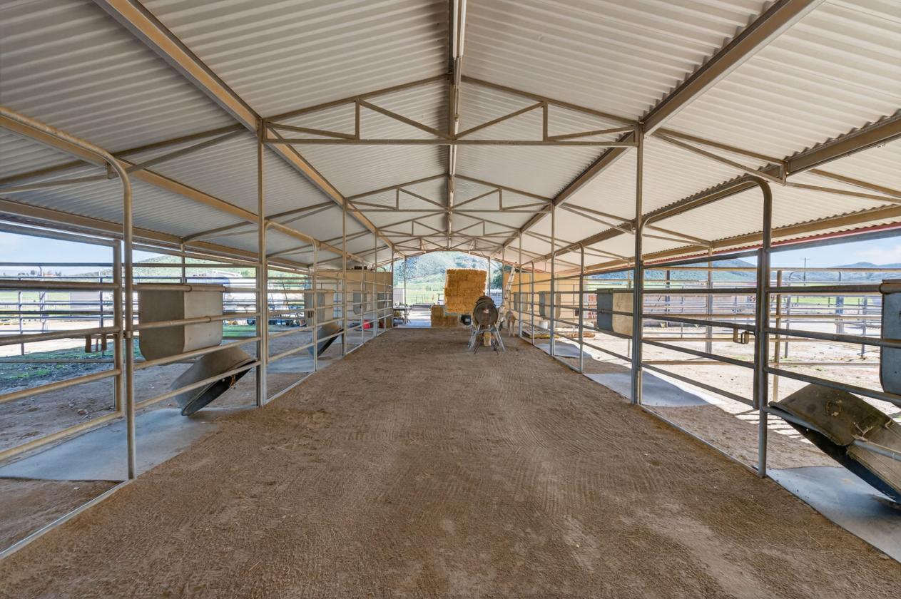 Sprawling 19 acre So Cal Working-Rodeo Ranch - photo 27