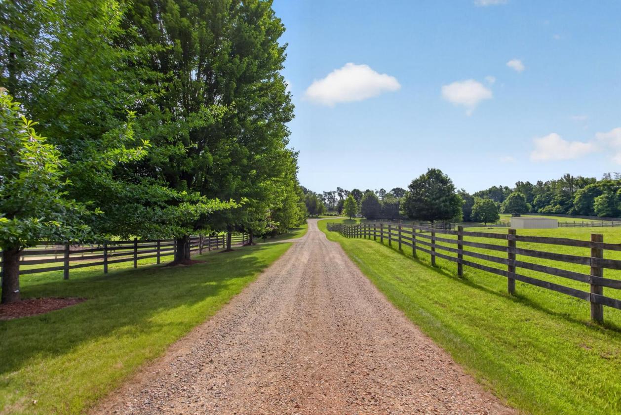 Equestrian Dream - photo 15
