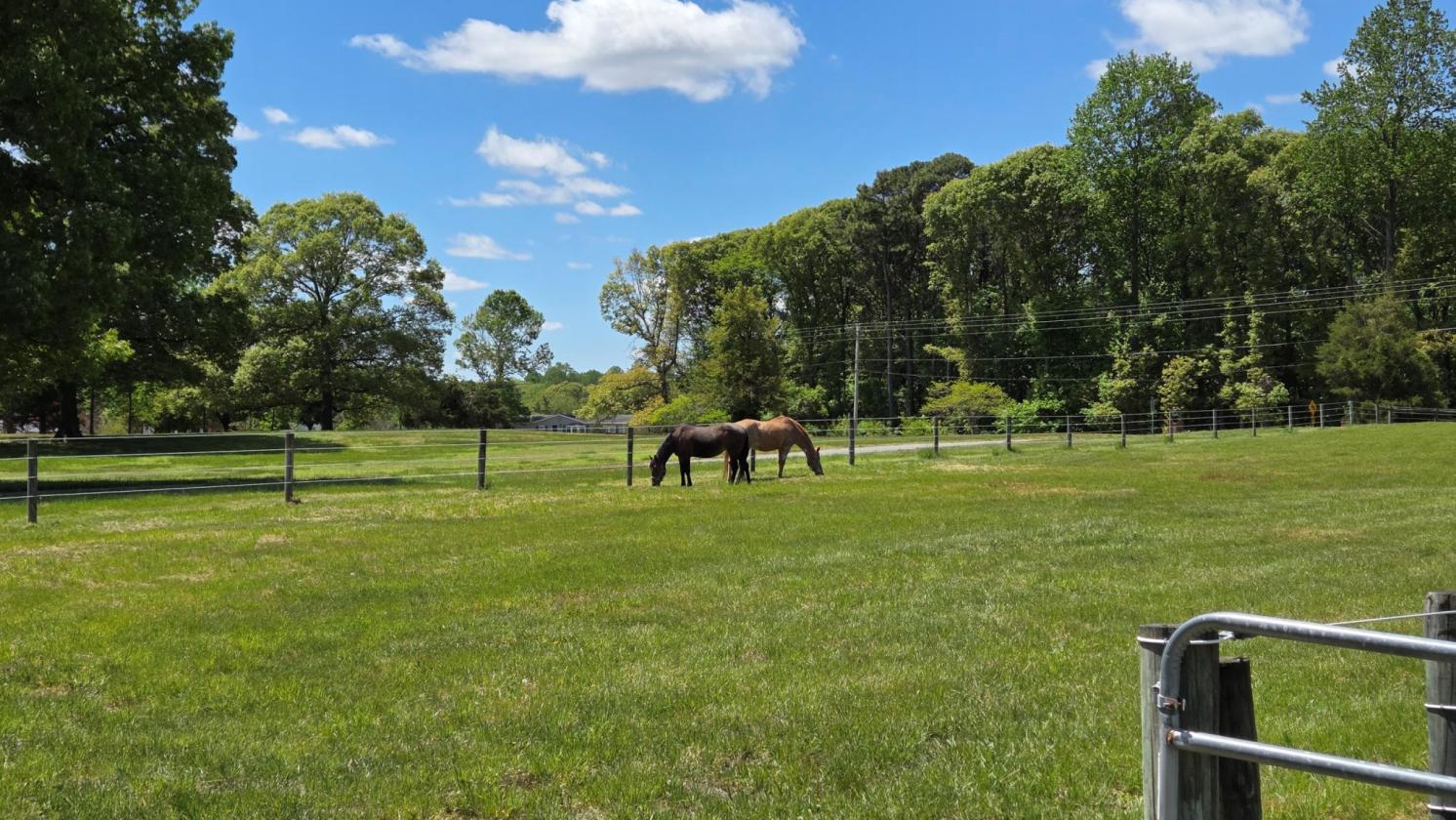 Turnkey Equestrian Estate on 10.9 Acres - photo 17