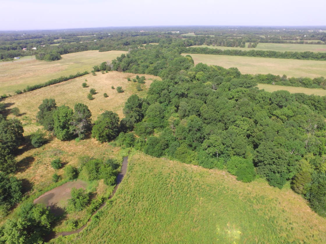 44+ ACRE FARM in Bell Buckle, TENNESSEE Bell Buckle, Bedford County