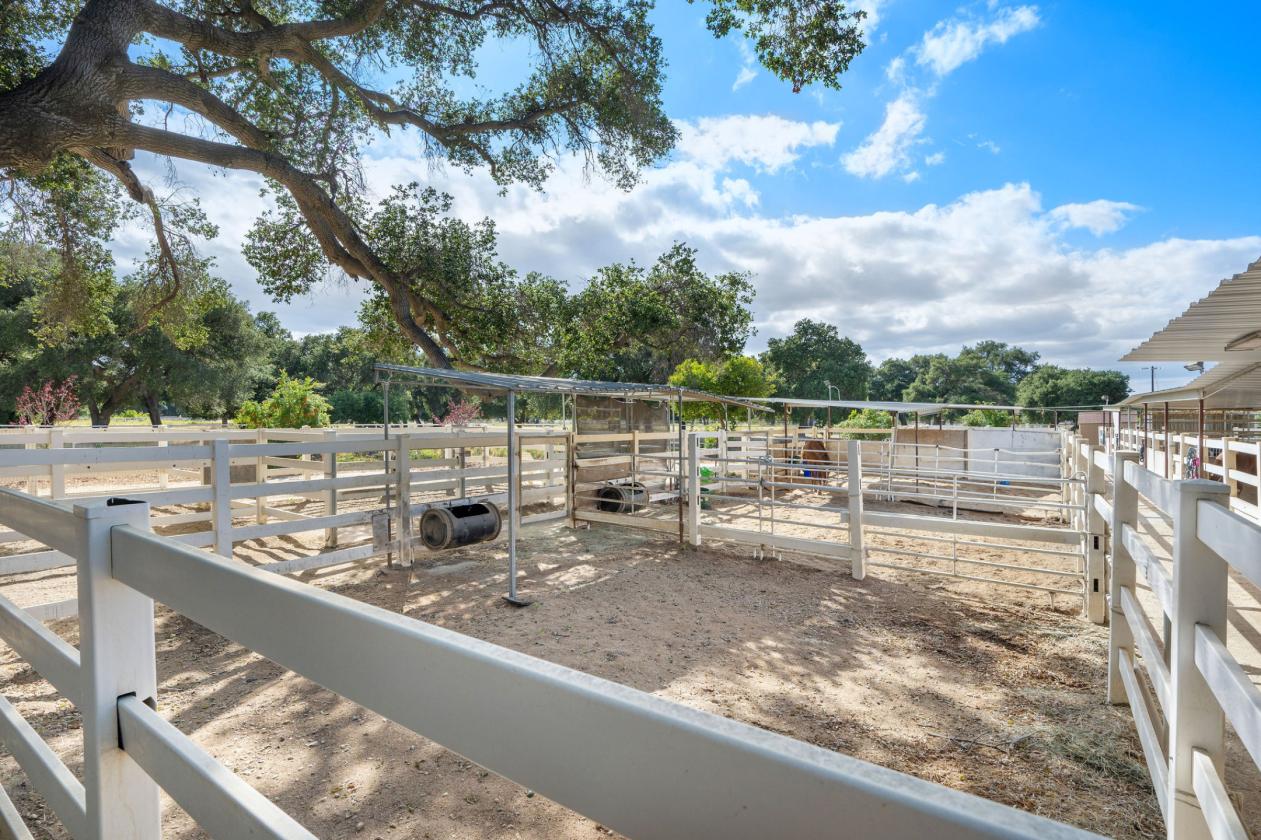 Gated 6 Acre Horse Facility In Sand Canyon - photo 12