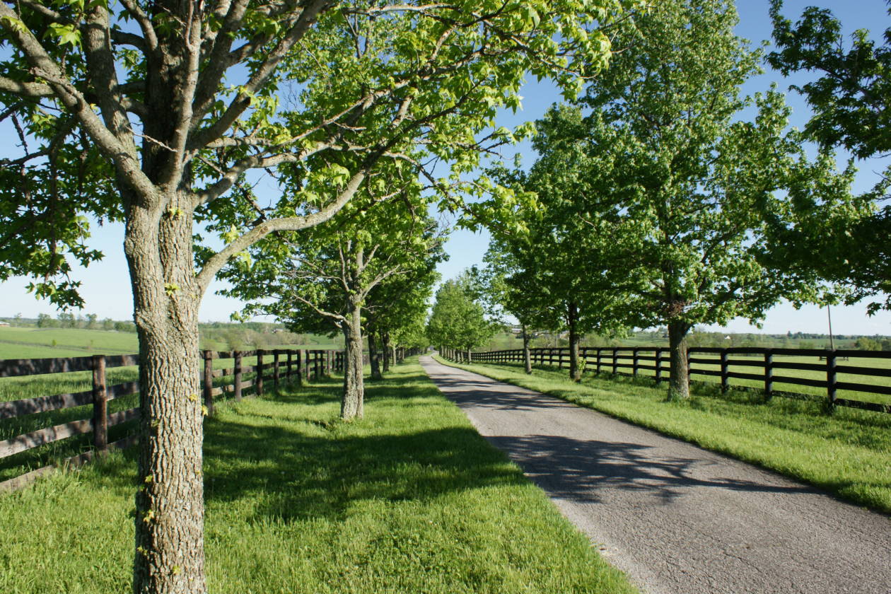 Horse Farm for sale Paris, Bourbon County, Kentucky