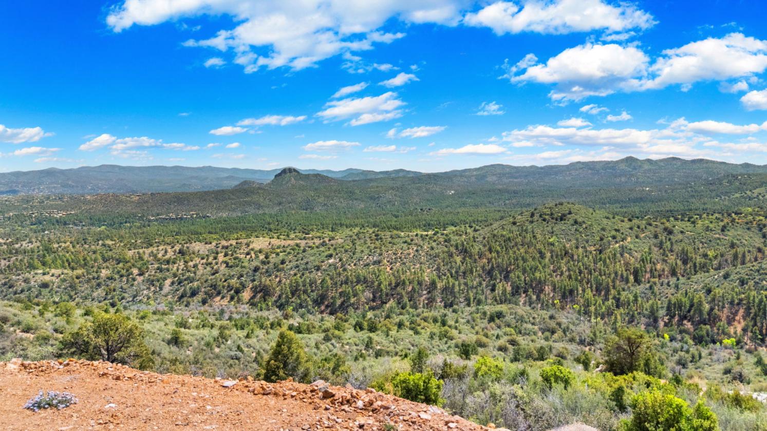 WHERE THE FOREST MEETS THE HORIZON - photo 13