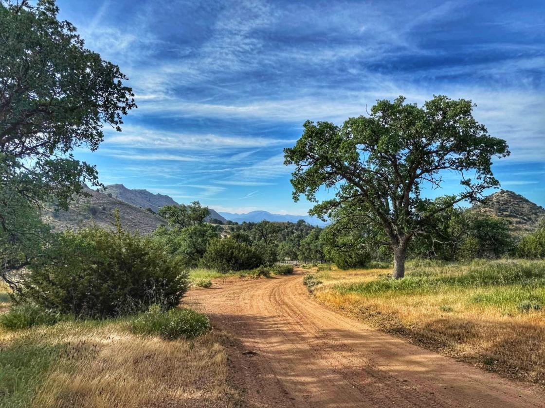 Exquisite 23.6 Acre Equestrian Estate - photo 28