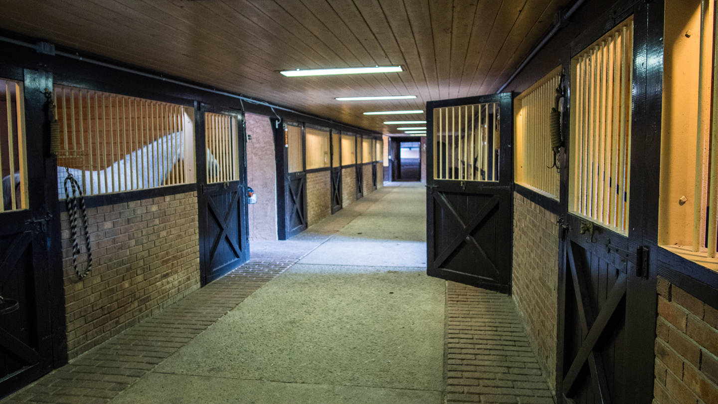 Exceptional Bucks County Horse Farm Doylestown, Bucks County