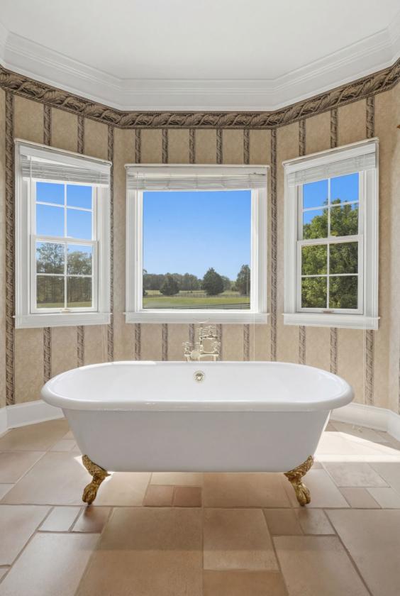Equestrian Dream on 85 Acres - photo 6