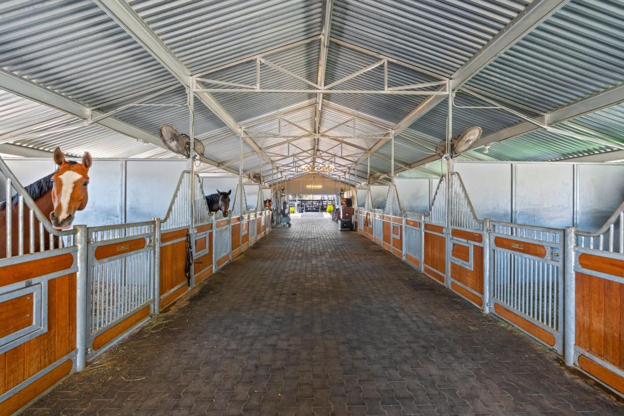 Proven Equestrian Excellence - photo 22