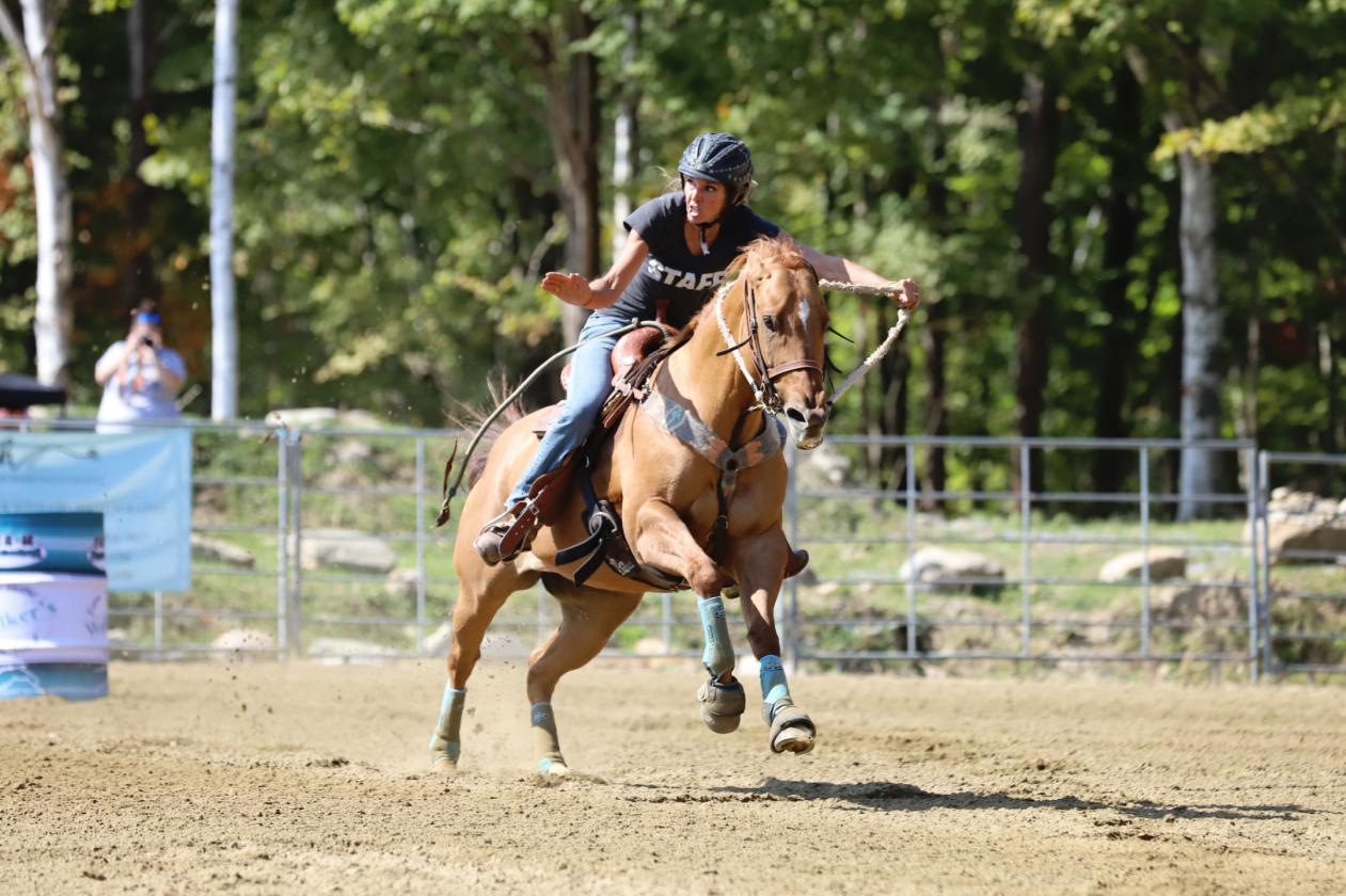 Upstate NY Equine Training & Breeding Facility - photo 18