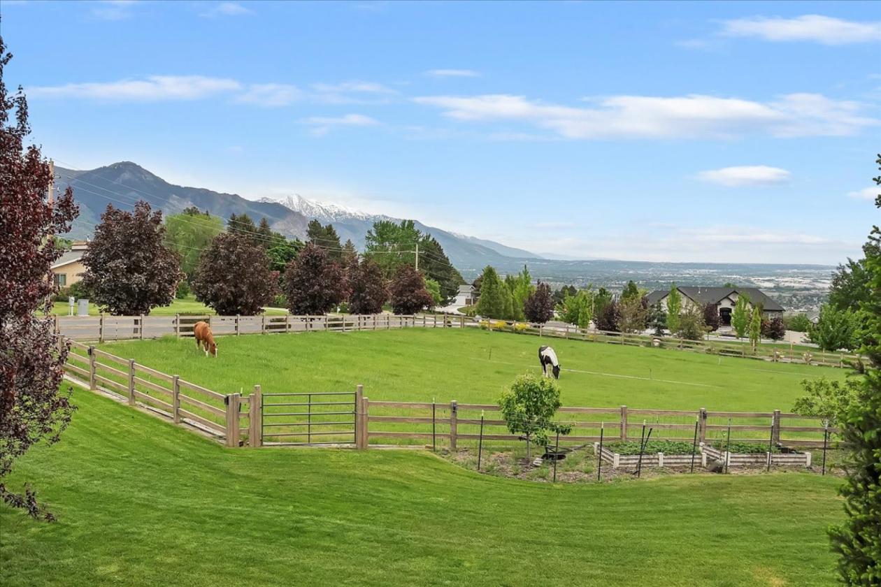 EQUESTRIAN DREAM AND LUXURY LIVING IN ONE - photo 13