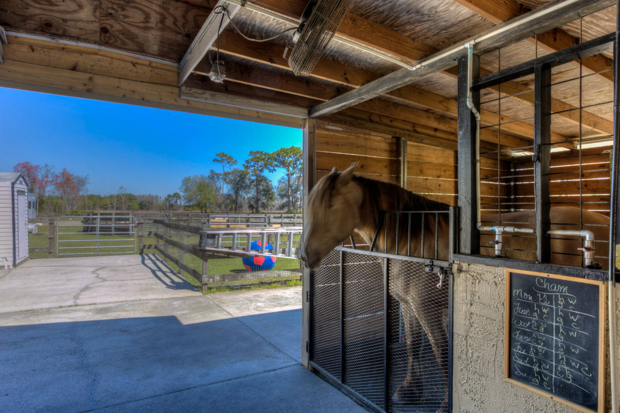 GATED EQUESTRIAN ESTATE/ENTERTAINING DREAM HOME Spring Hill, Pasco