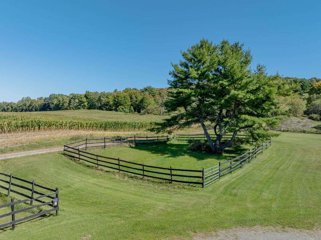 Equine Boarding and Training Facility - photo 29