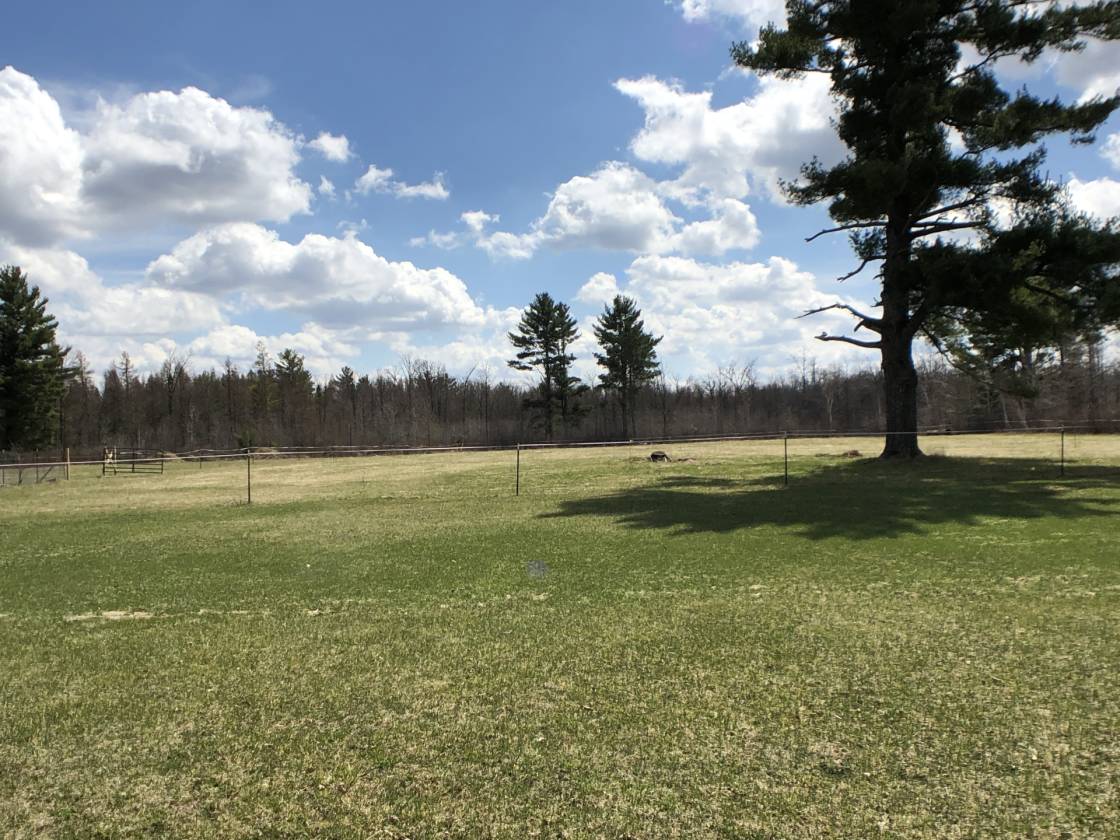 HaywardSpringbrook WI Horse Lovers Dream Priced Right First