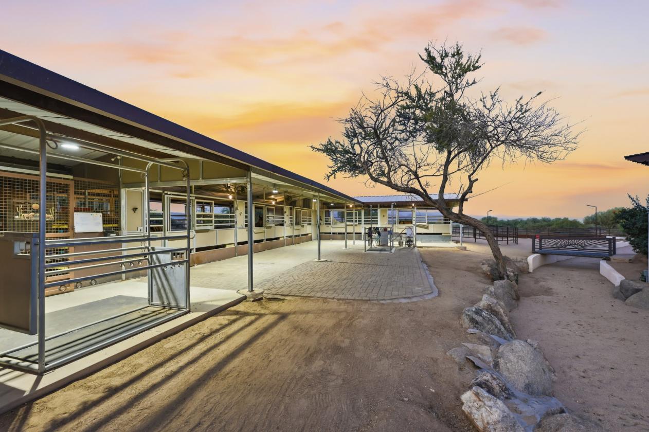 Refined Equestrian Estate - photo 7
