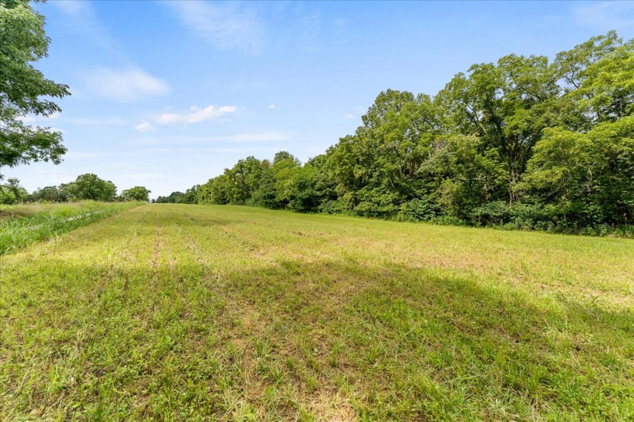 Over 173 acres for your equestrian dreams - photo 8