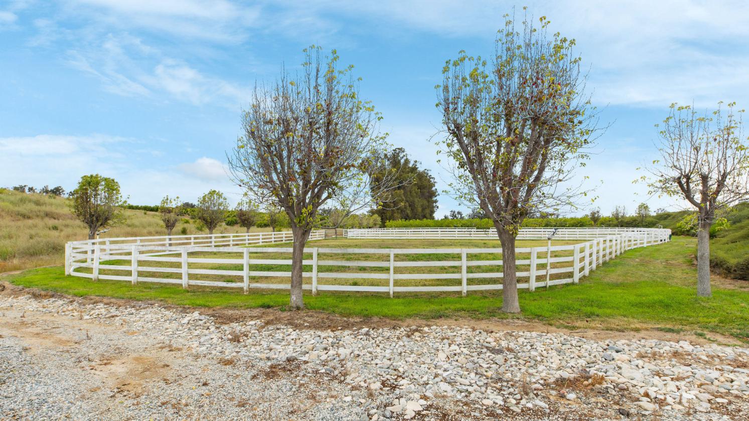 Lemon Ridge Ranch on 47 Acres - photo 9