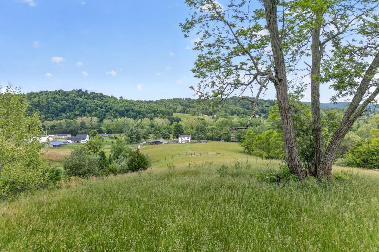 Equestrian Estate with Creeks and Views - photo 30