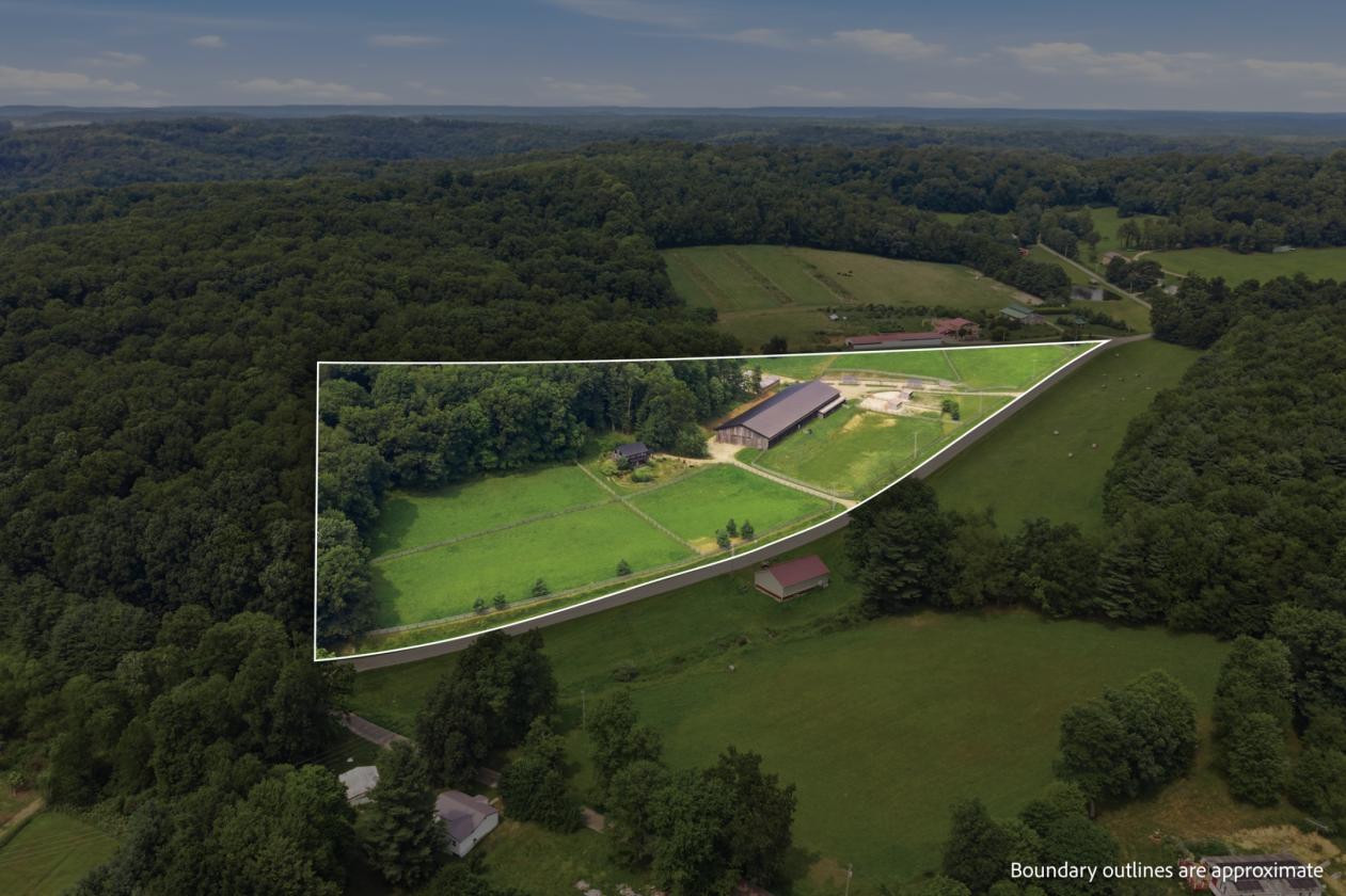 Exceptional Mohican Equine Estate Auction - photo 27