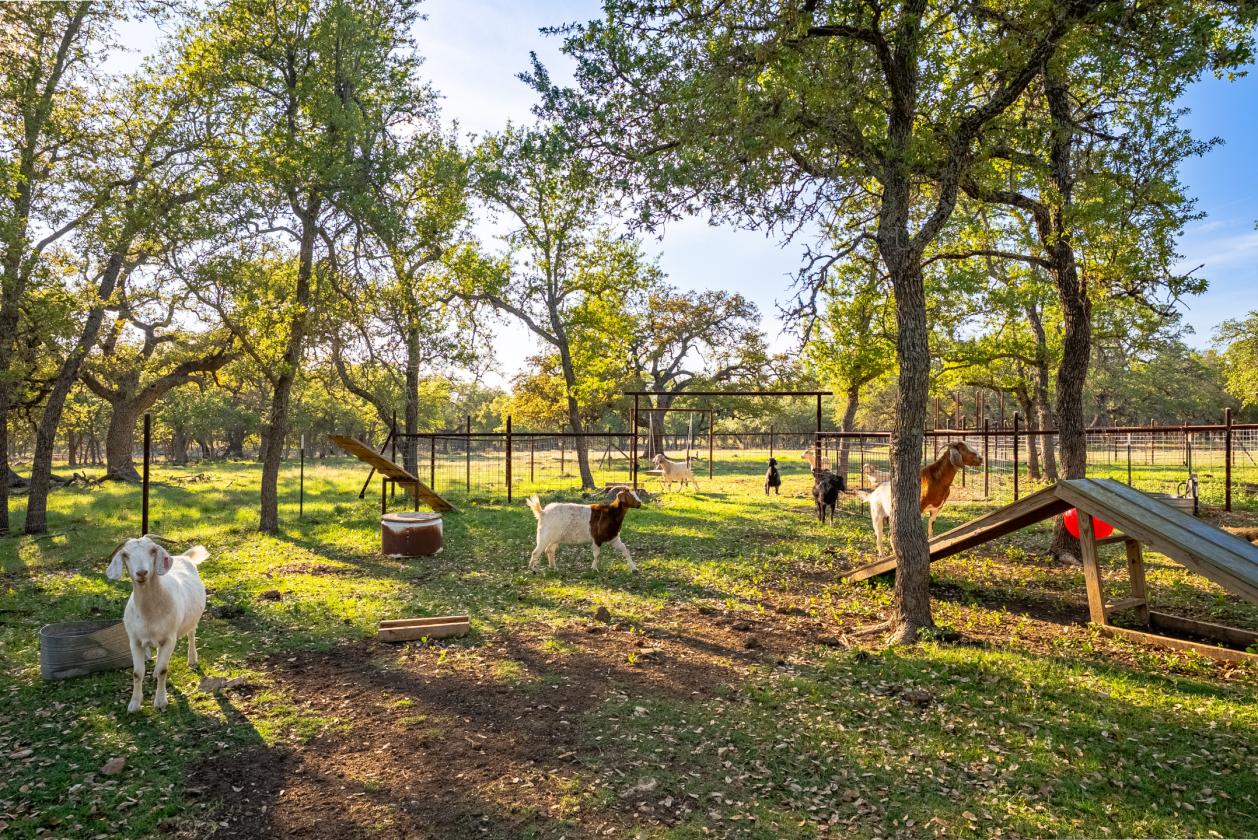 1888 Ranch - 55+ Acres - photo 8