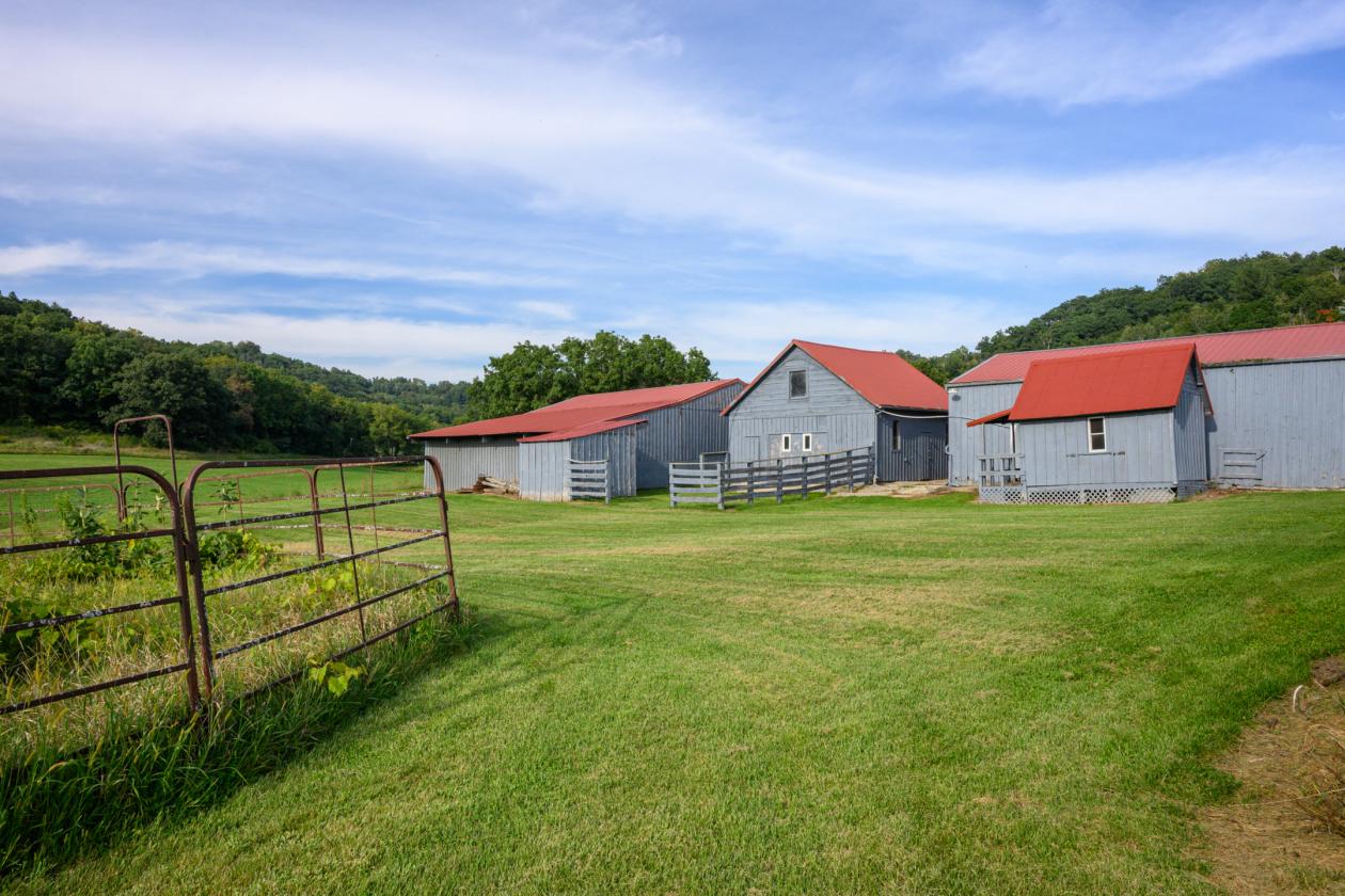 133 acres Stunning Horse Farm - photo 15