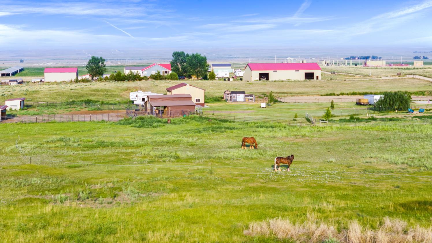 On 15 acres, a beautiful country life awaits - photo 28