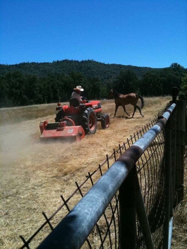 41.5 Acre Horse Property with 4 Wells, Large Barn, 3... Covelo, Mendocino County, California