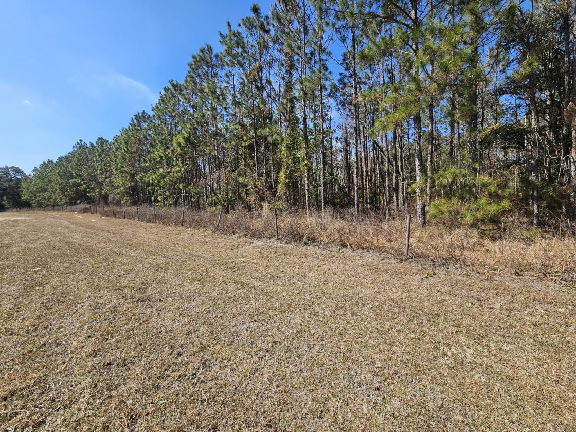 145 AC RANCH & ACCESS TO 37K+ AC STATE REC LANDS - photo 8