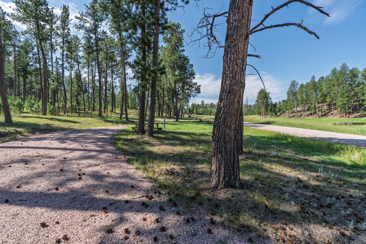 Glen Erin Horse Camp - photo 11