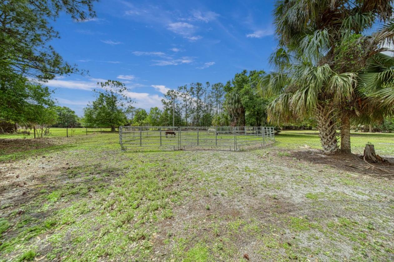 Palm City Farms: 5 Acres Near Scenic Riding Trails - photo 7