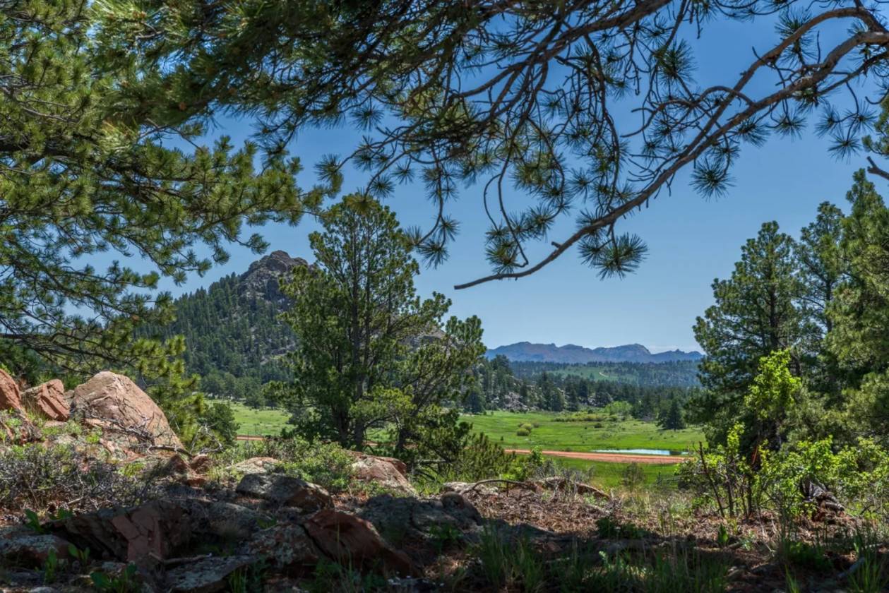 Lots in luxury, gated, mountain community - photo 17