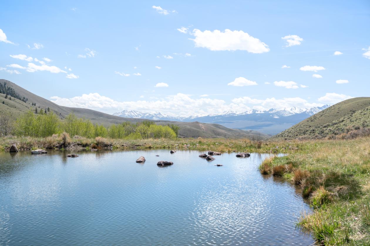 Private Idaho Retreat on 325 acres! - photo 19