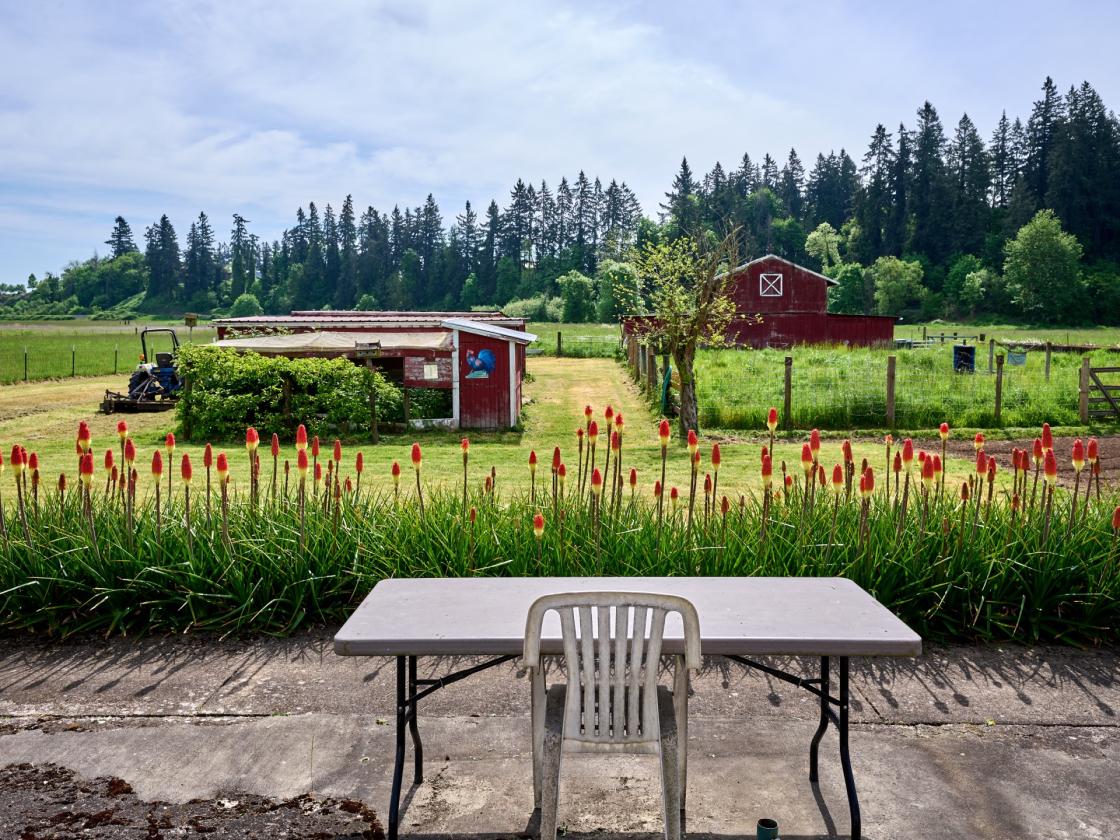 Horse Property in Aurora/Canby Area Deadend Road - photo 18