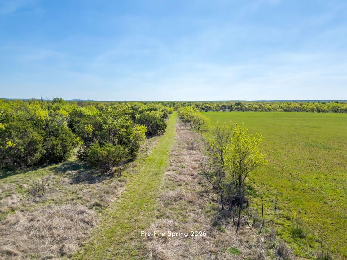AG EXEMPT 97+ ACRES WITH PASTURE LAND & 4 TANKS - photo 18