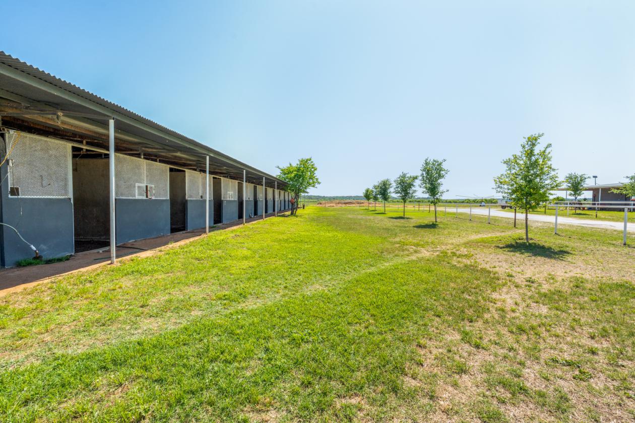 Horse Ranch - photo 8