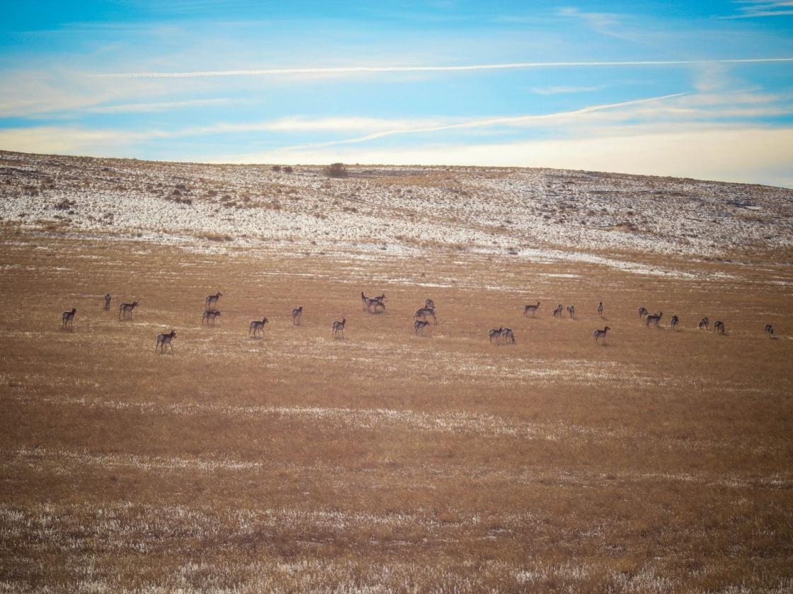 Gallatin River Ranch - EQ Development Portfolio - photo 29