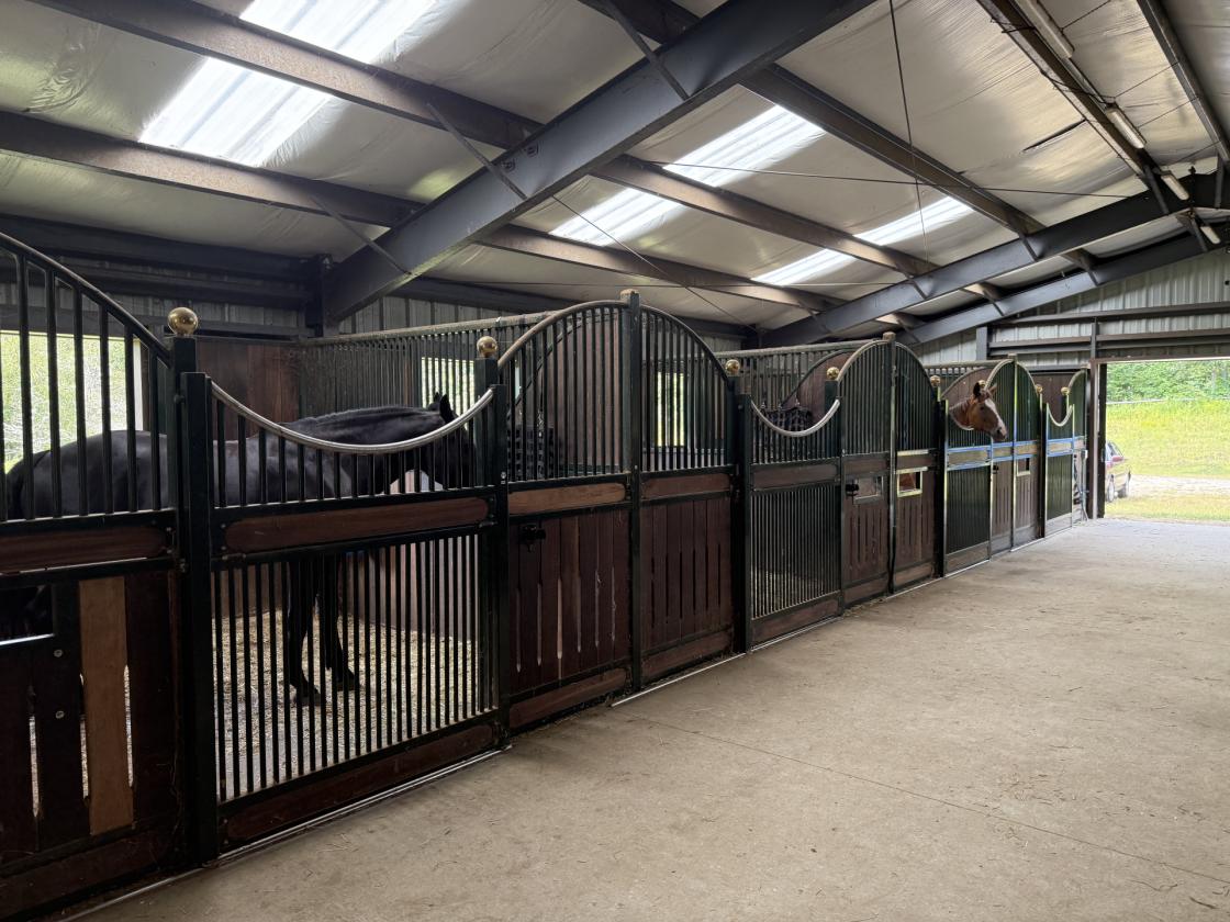 Equestrian Facility with 13-Stall Barn & Indoor Arena - photo 5
