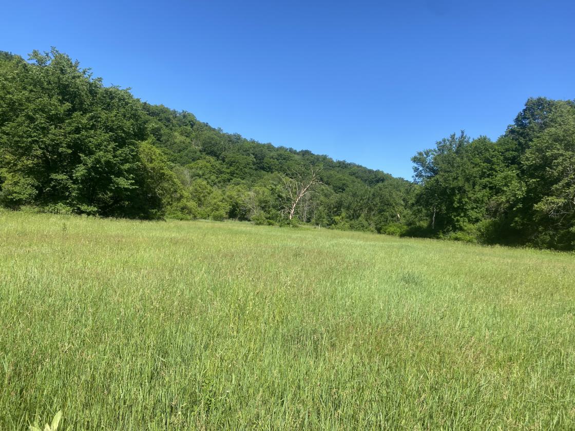 Deep River Farm - photo 18