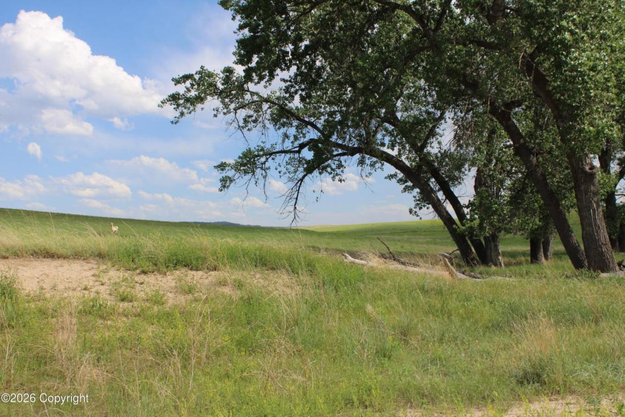 WY Horse Property with Views and NO Covenants! - photo 20
