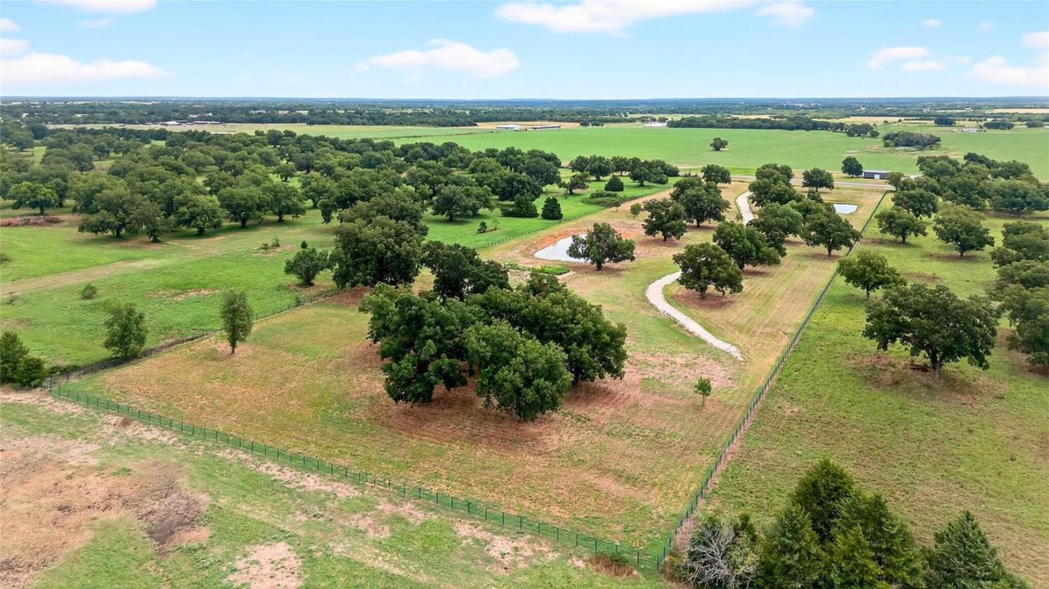11 Acres of Pecan Trees - photo 22