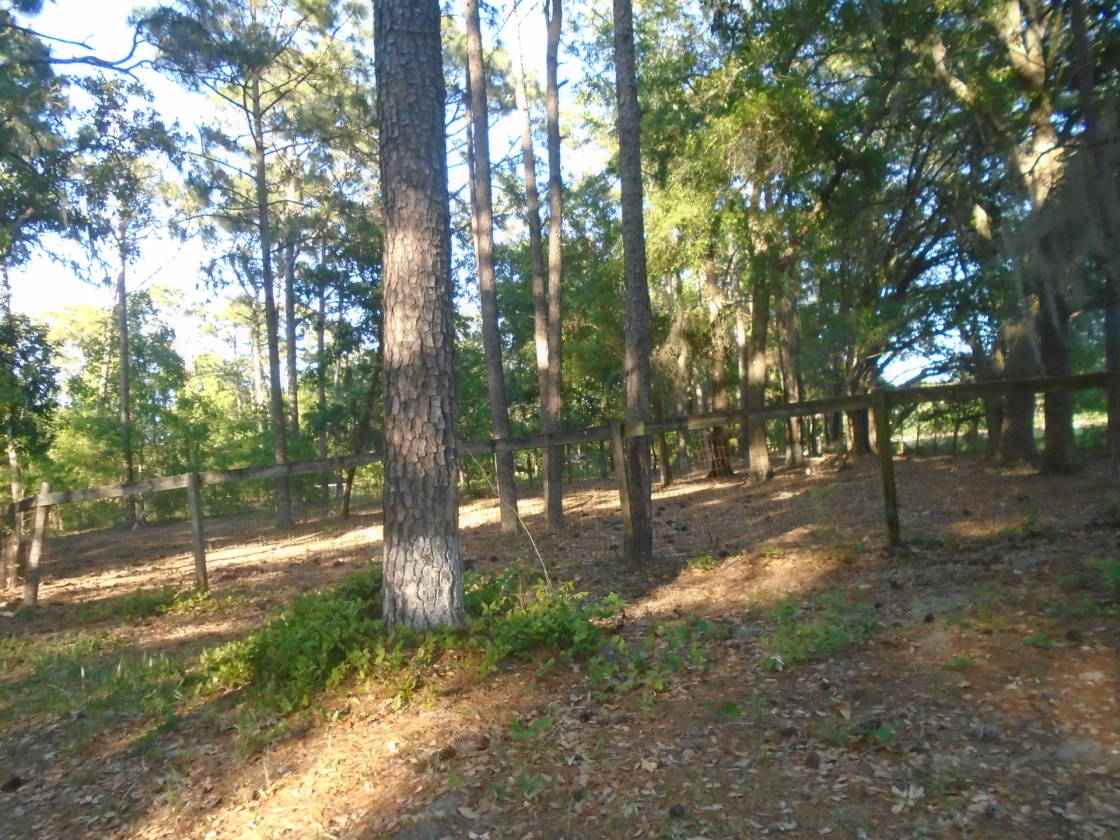 HORSE FARM WITH OVER 200 ACRES WITH 3 RESIDENCES Rincon, Effingham