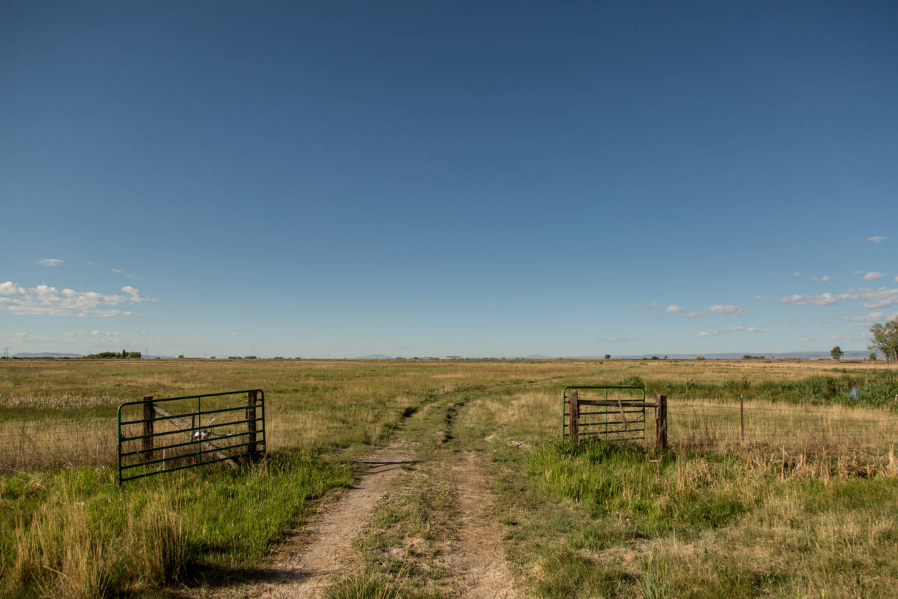 The Rio Grande River Ranch Alamosa, Alamosa County, Colorado