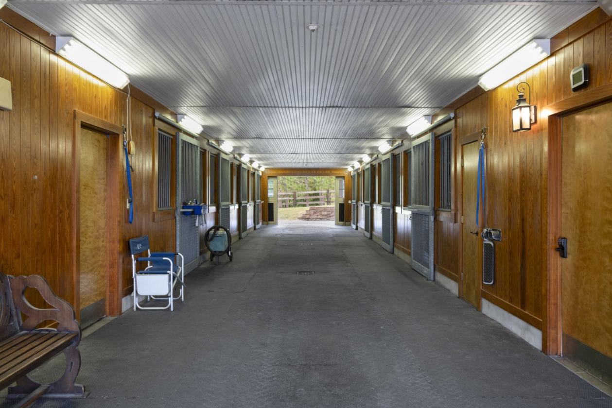 Magnificent 31+ ac equestrian estate - photo 17