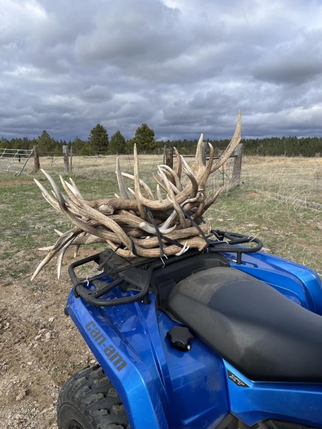 Piney Ridge Ranch - photo 14