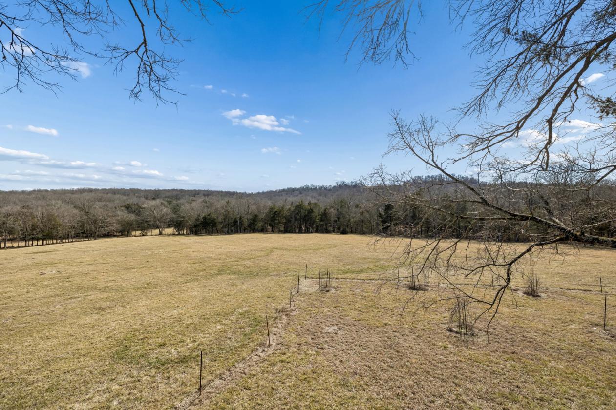 175 Gorgeous Acres - photo 15