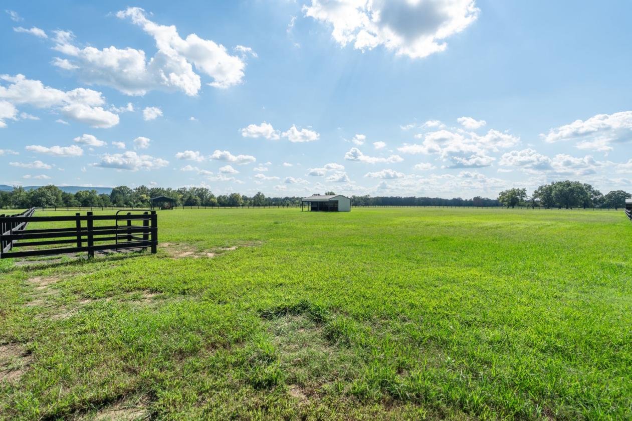 Home & 10 Acres - photo 5