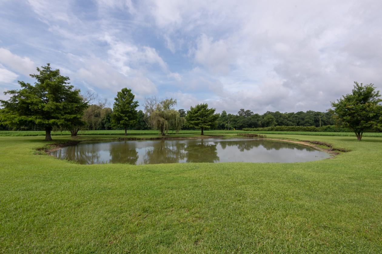 47 Acre Horse Property on Beautiful Setting - photo 7