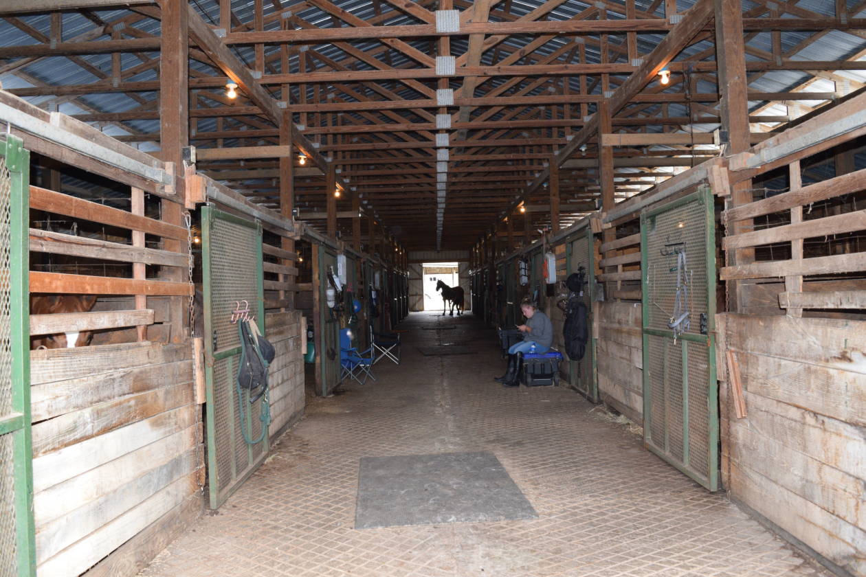 Turnkey Equestrian Facility, 20+stalls, multiple arenas New Market