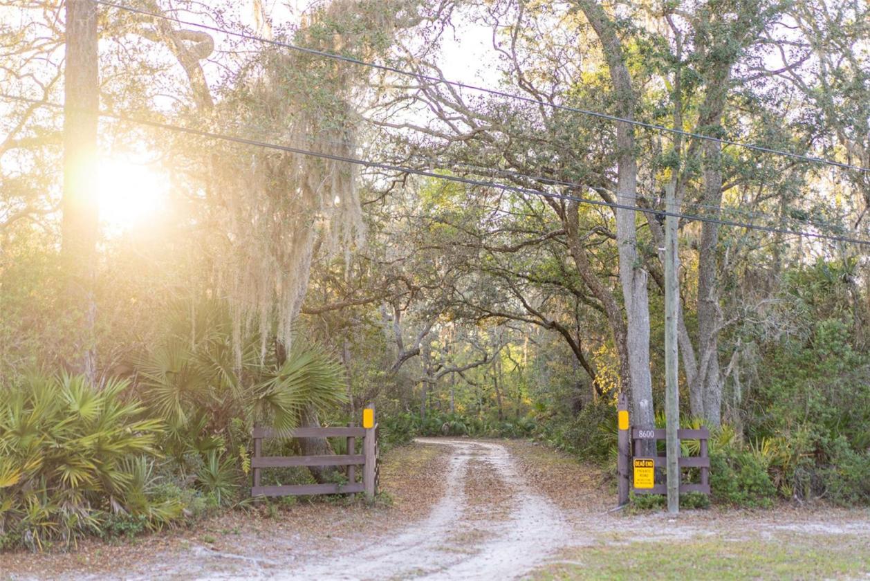 10 Acre Lakefront Estate w. 400k acre Trail Access - photo 15
