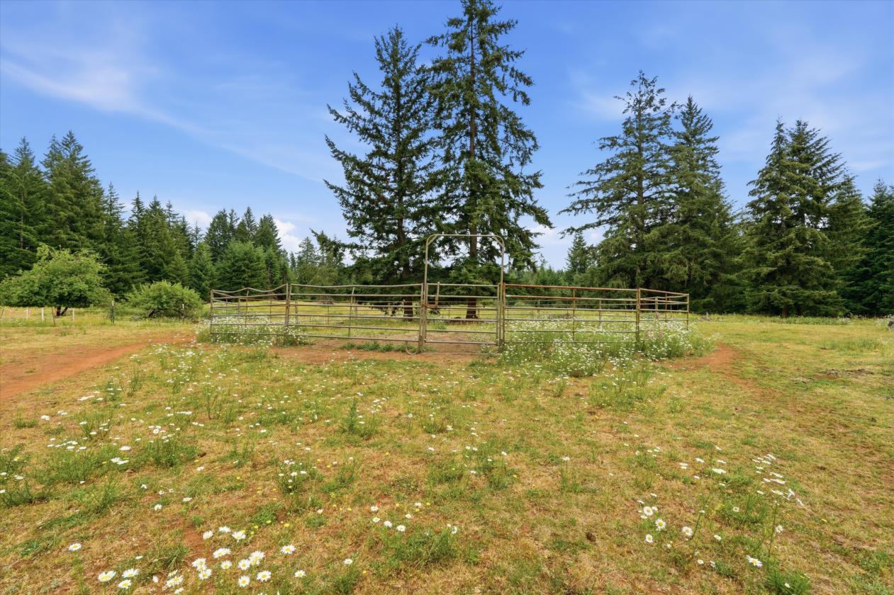 9.11 Acres with 8 Stall barn & Indoor Arena! - photo 26