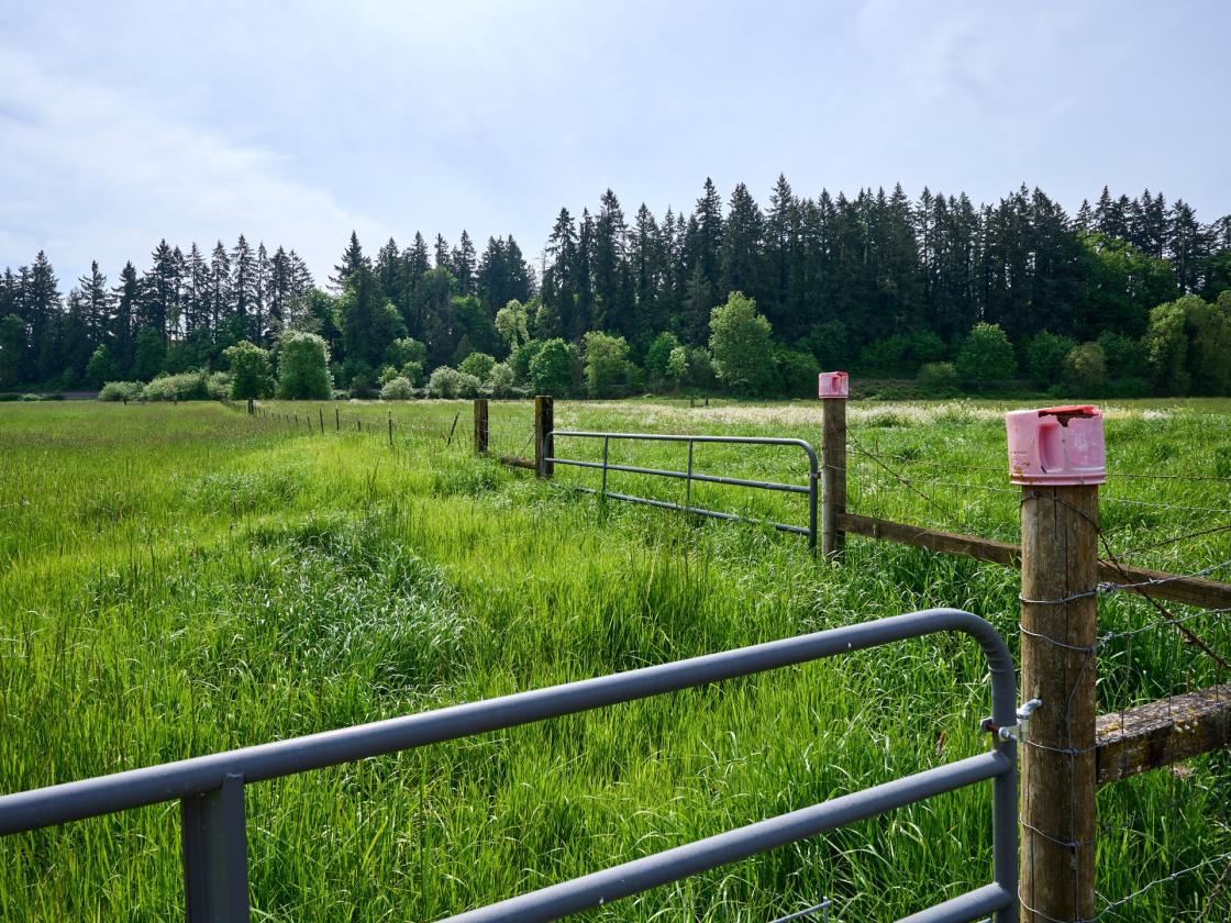 Horse Property in Aurora/Canby Area Deadend Road - photo 13